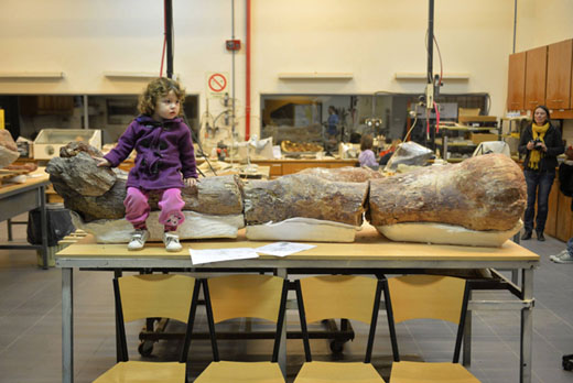 biggestdinosau... 7